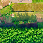 Stunning aerial view of lush green farmlands in West Java, Indonesia, showcasing beautiful agricultural patterns.
